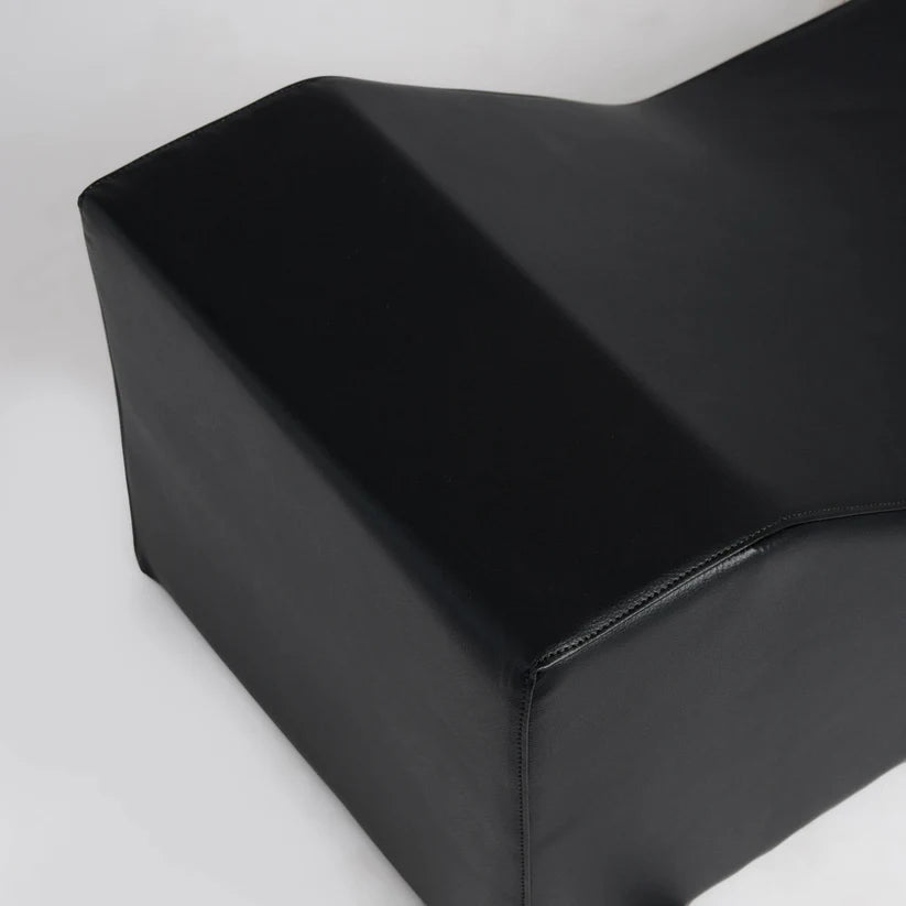 Sagoma da Muro Leone Atena Vintage