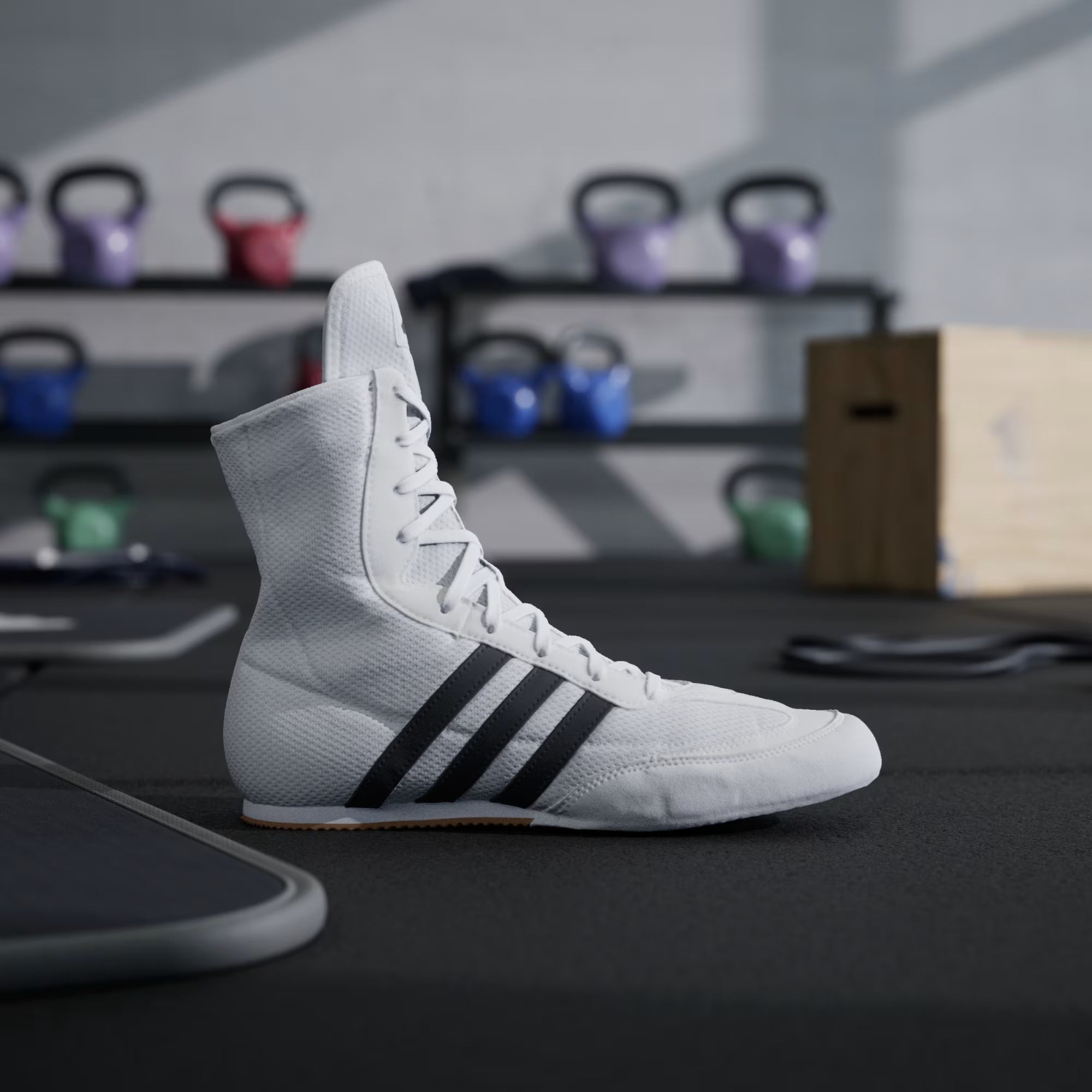 Scarpe Boxe Bianche Adidas Box Hog 2