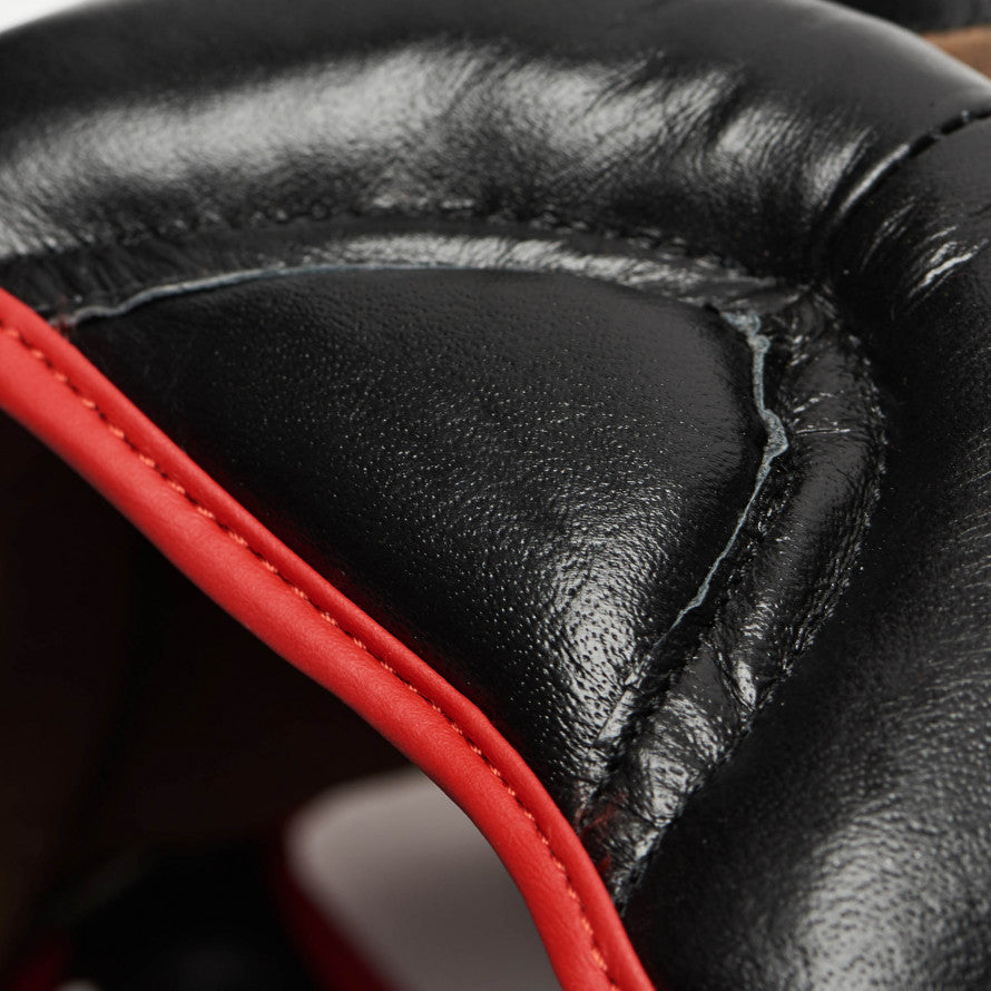 Casco Parazigomi e Paramento Leone