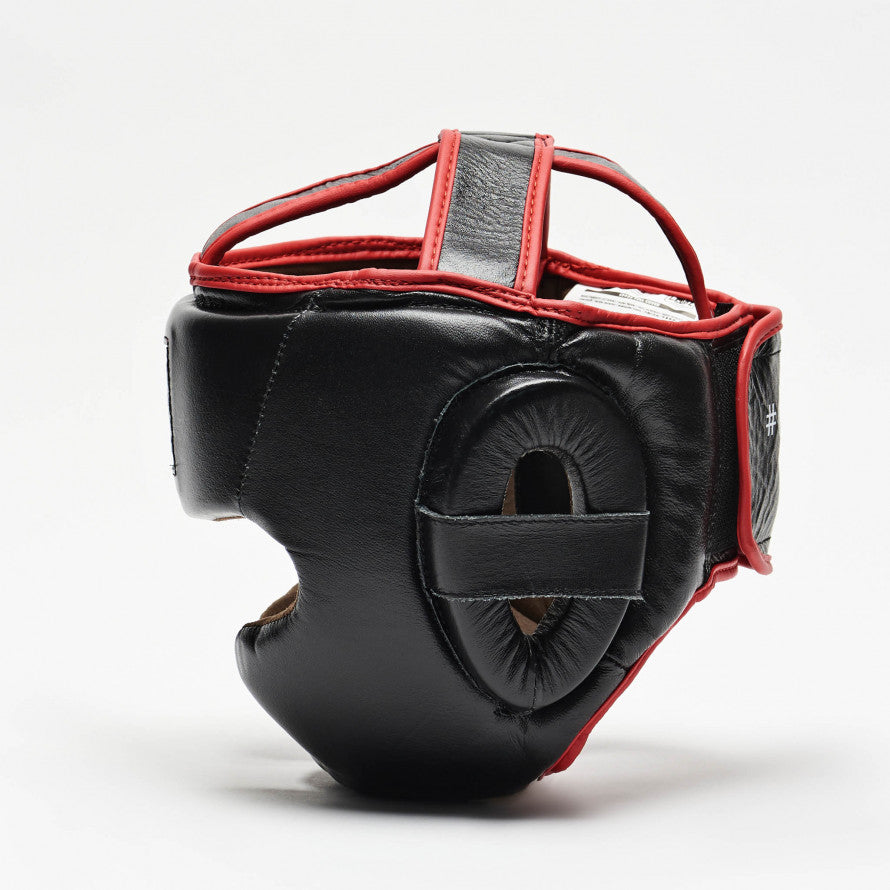 Casco Parazigomi e Paramento Leone