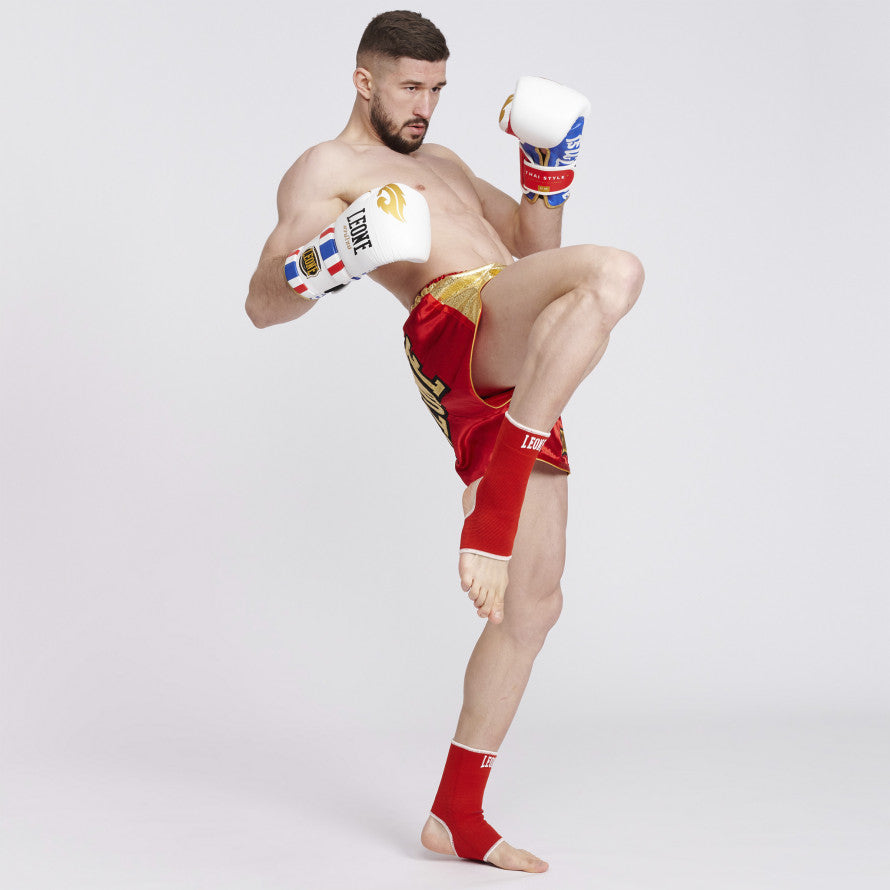 Cavigliere Leone Reversibili