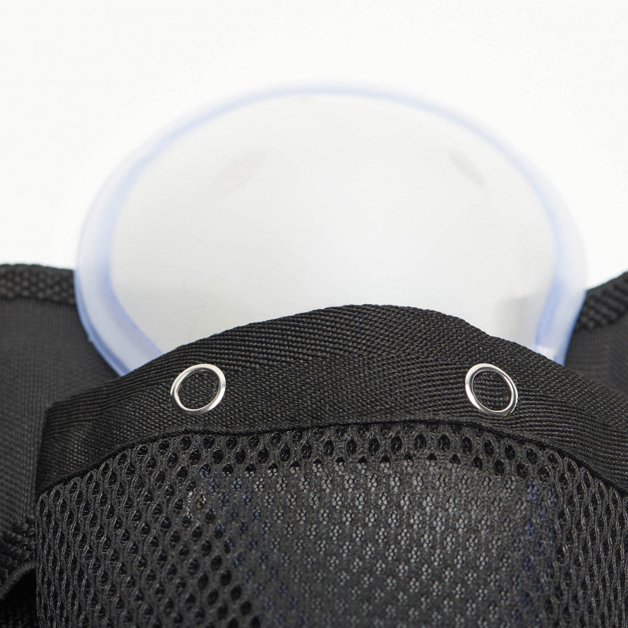 Conchiglia Leone Maschile