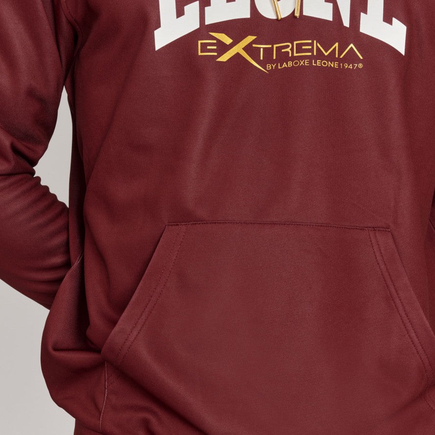 Felpa Leone Logo con cappuccio