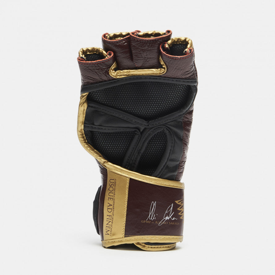 Alessio Sakara Leone Legionarivs II MMA Gloves
