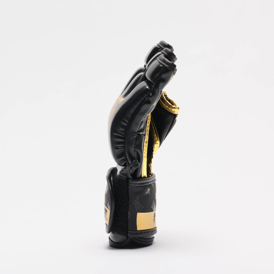 Guanti MMA Leone DNA con copertura pollice