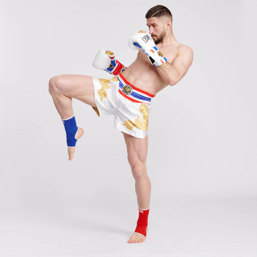 Leone Muay Thai Gloves