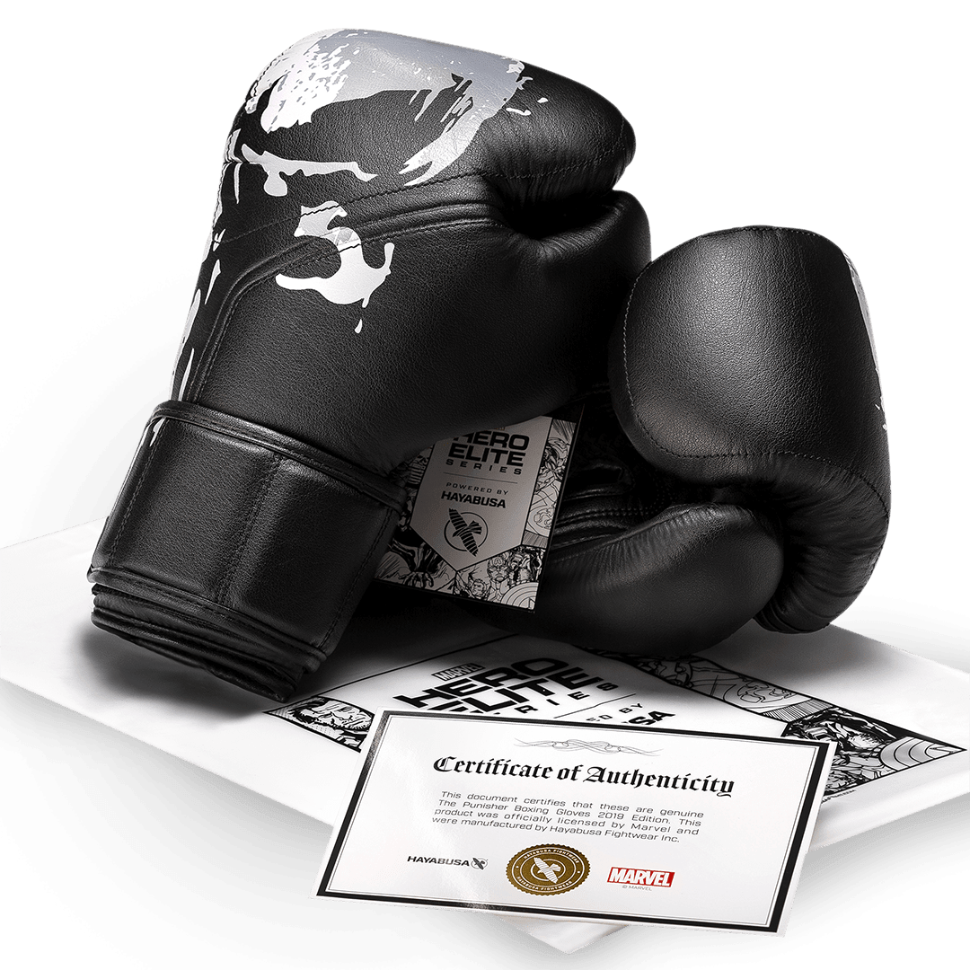 Foto del Hayabusa oficial.