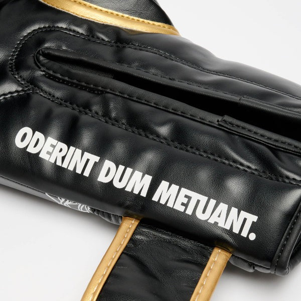 Close-up della scritta Oderint Dum Metuant sulla manichetta del guantone da boxe