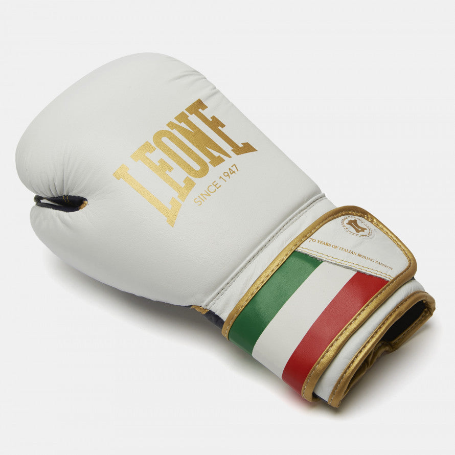 Leone Italy Boxing Gloves