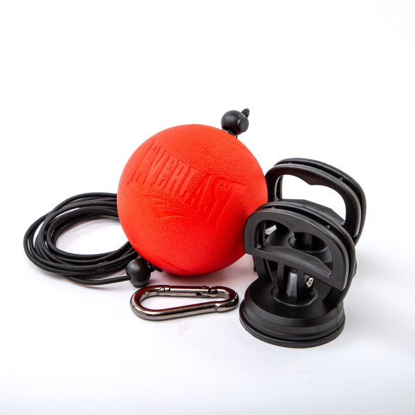 Everlast Ball Tesa Powerlock black front boxing