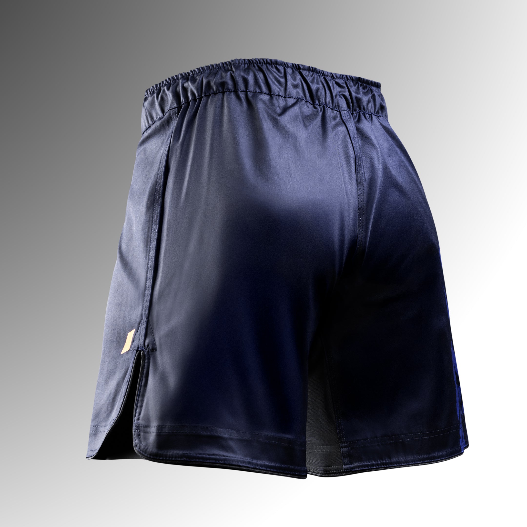 Vista posteriore dei pantaloncini MMA Hayabusa Apex blu, pannelli stretch interni per massimo comfort