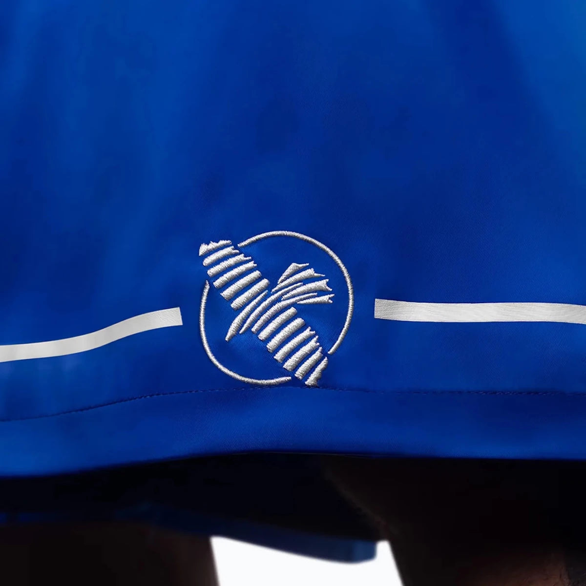 Logo Hayabusa brodé sur un short de boxe bleu