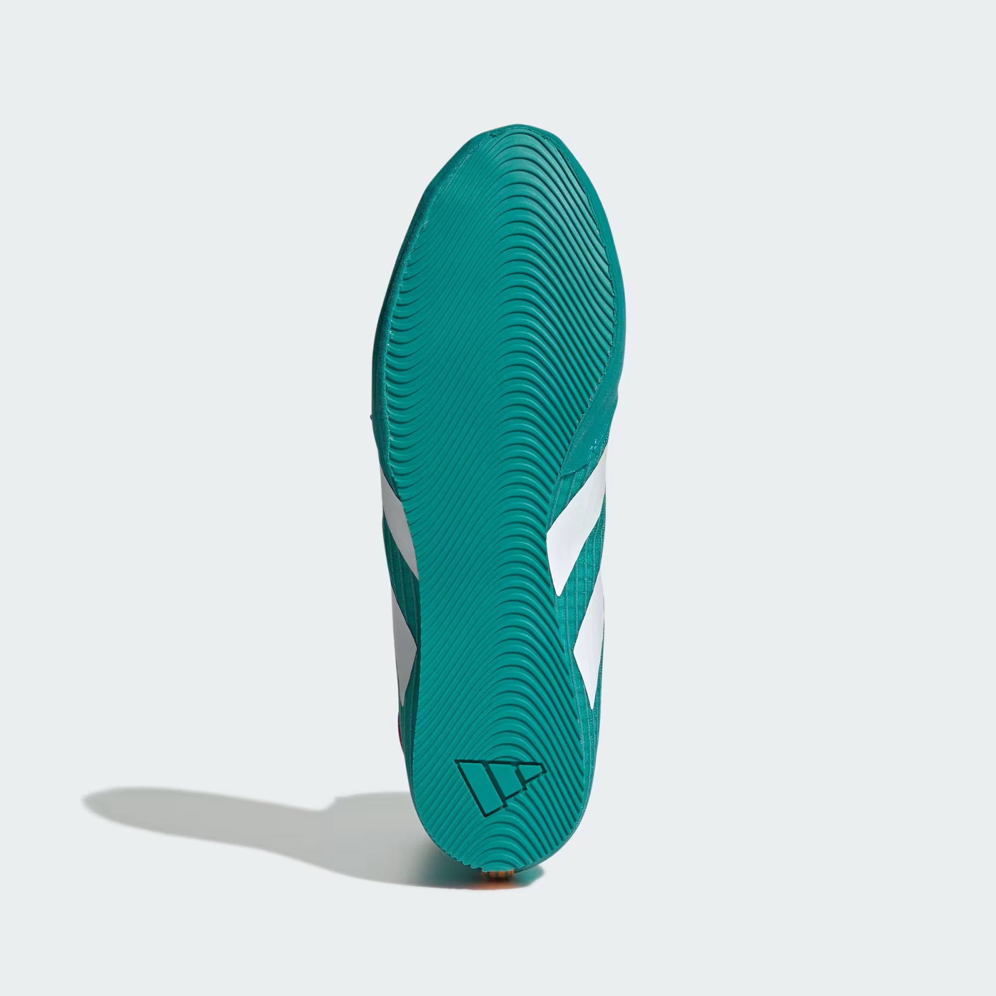 Zapatillas de boxeo Adidas Box Hog 4