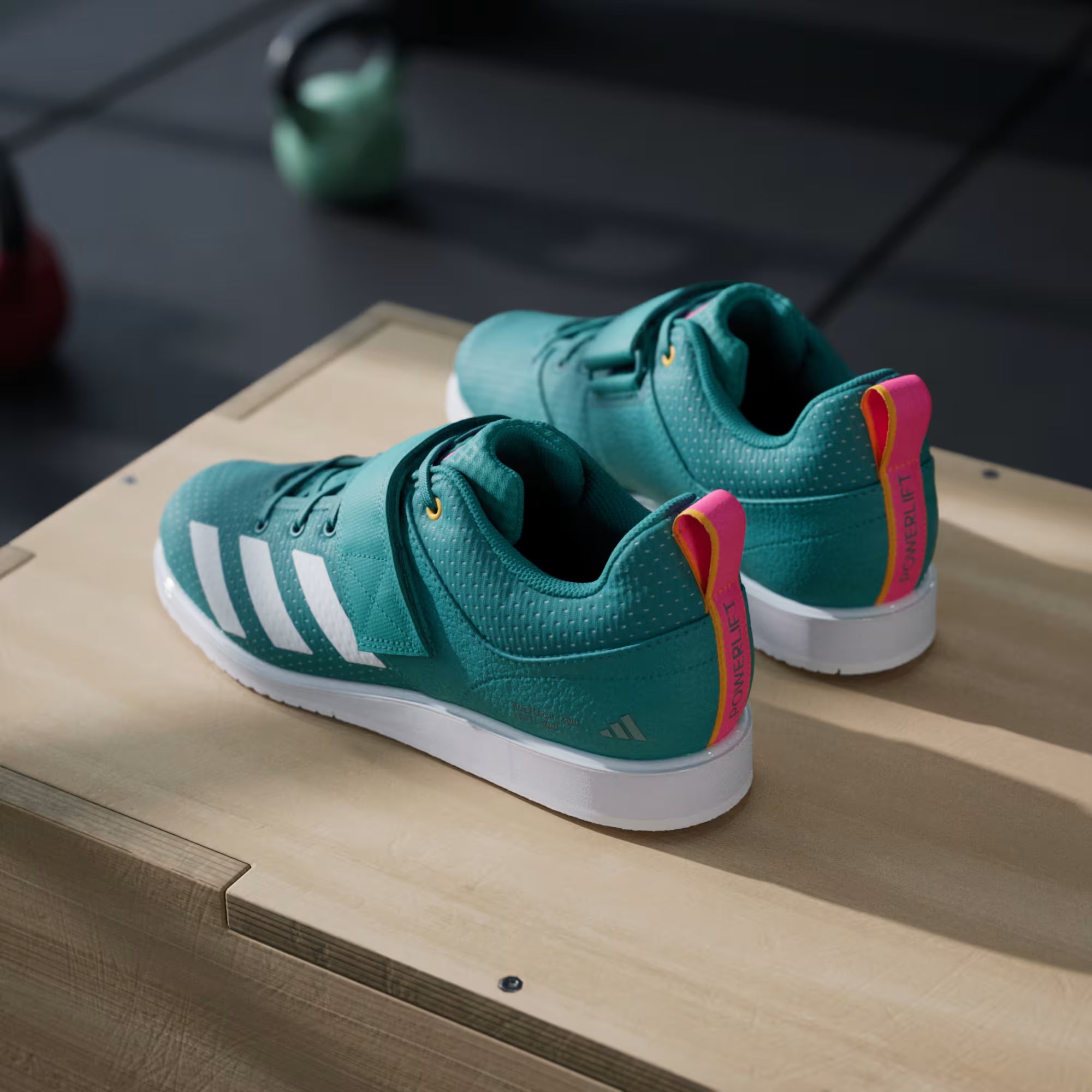 Vista posteriore del paio di scarpe Powerlift 5 Purtea, dettaglio del tallone rialzato per lo squat