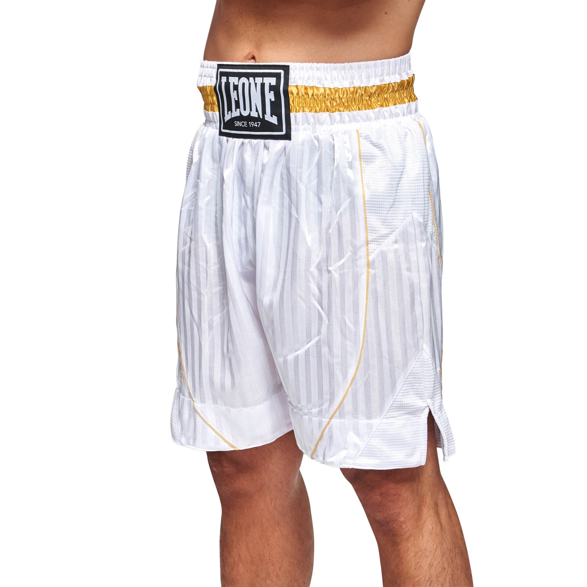 Pantaloncini Leone Boxe Premium
