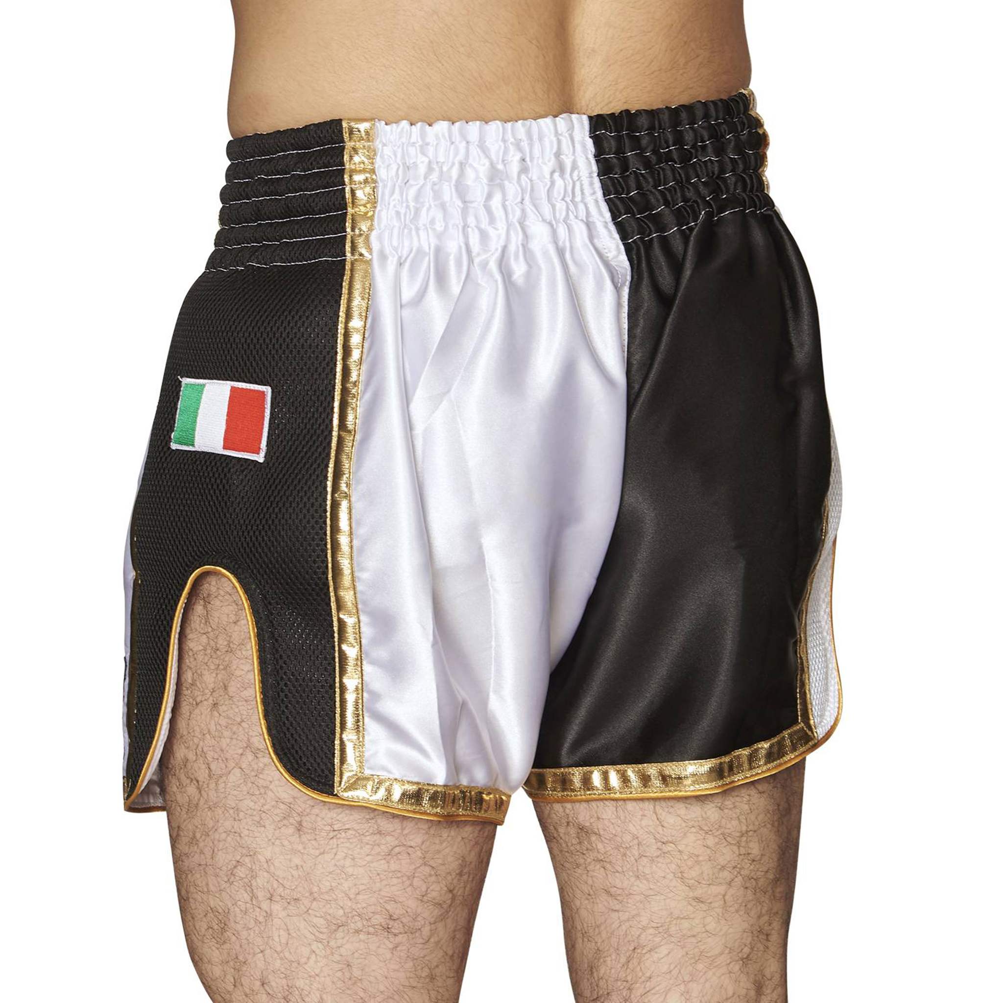Siam Lion Muay Thai Shorts
