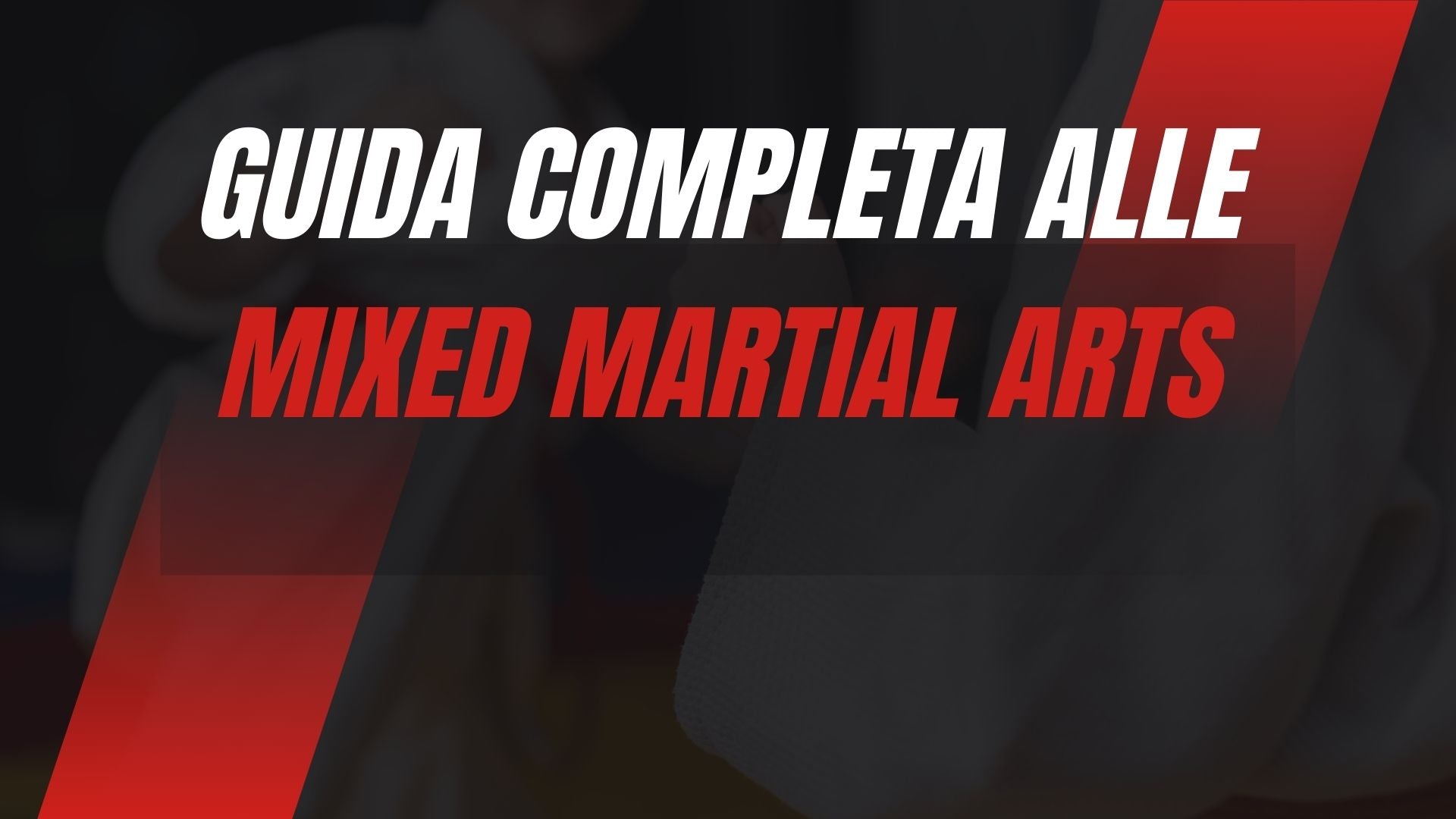 Guida completa alle MMA