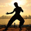 JEET KUNE DO