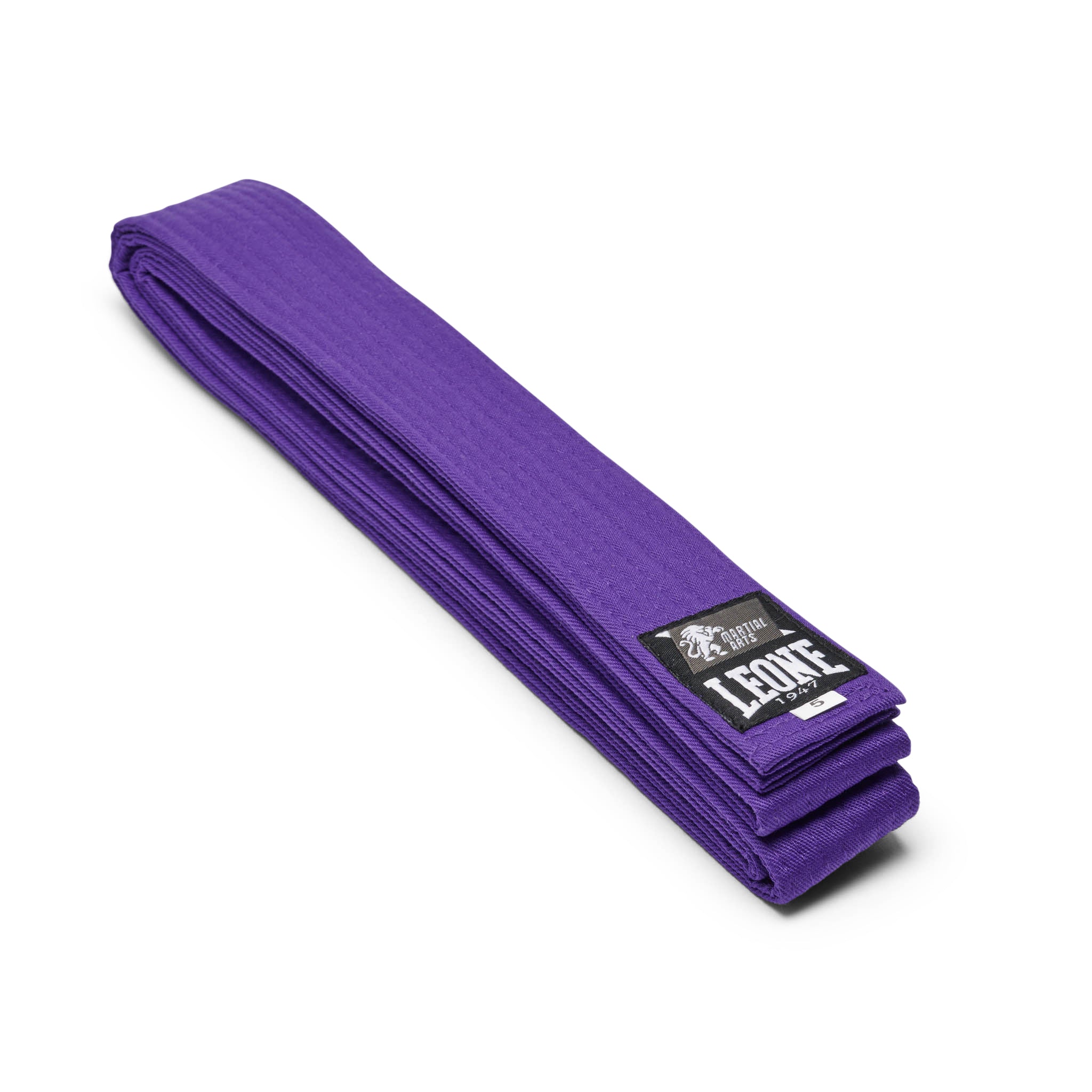 Cintura Arti Marziali Leone