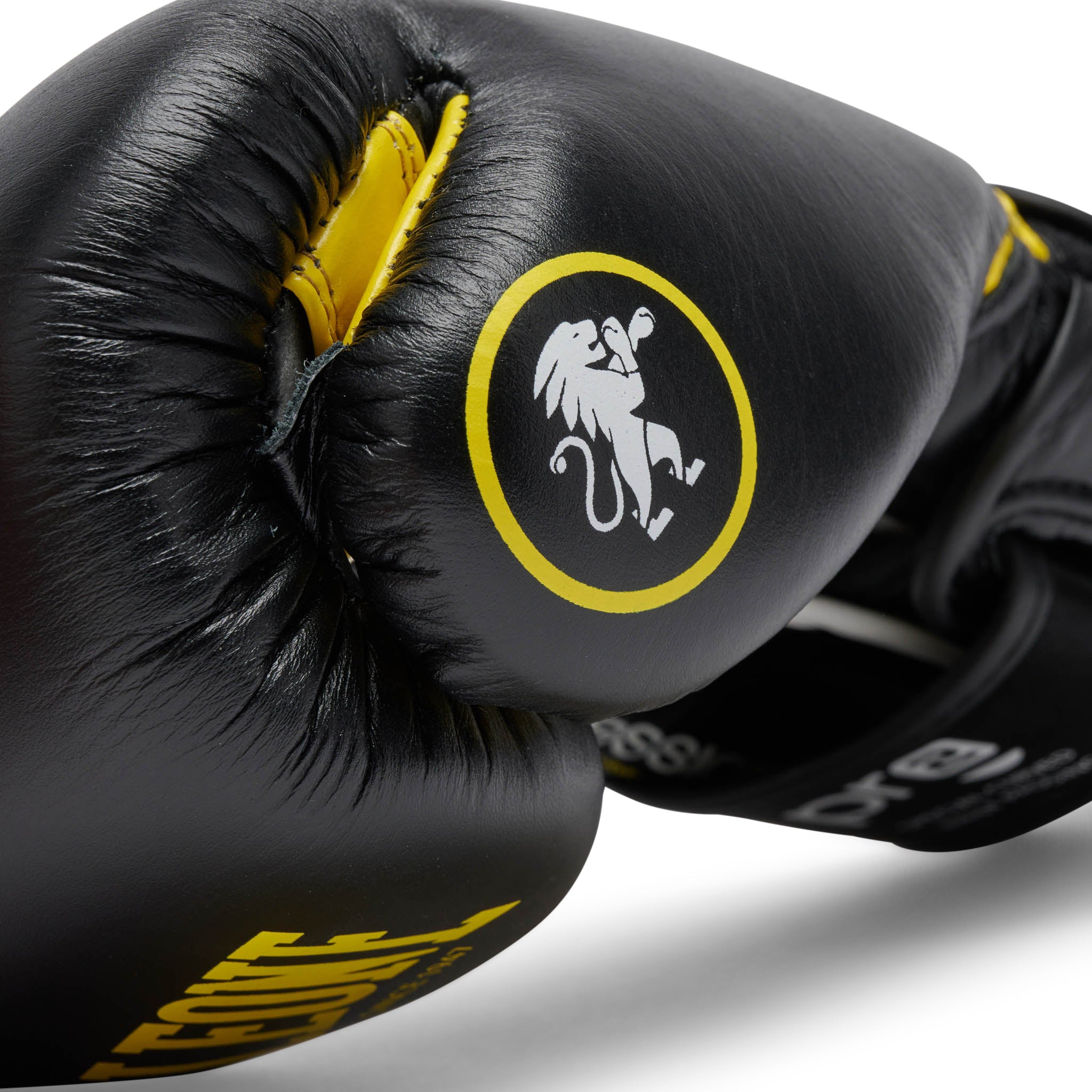 Leone Boxing Professional 2 Gloves