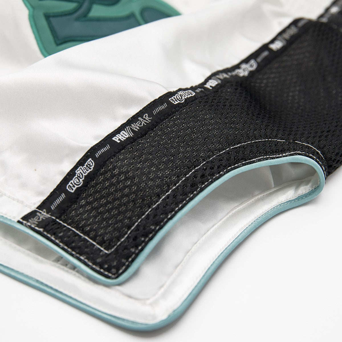 Fujimae Muay Thai Shorts 