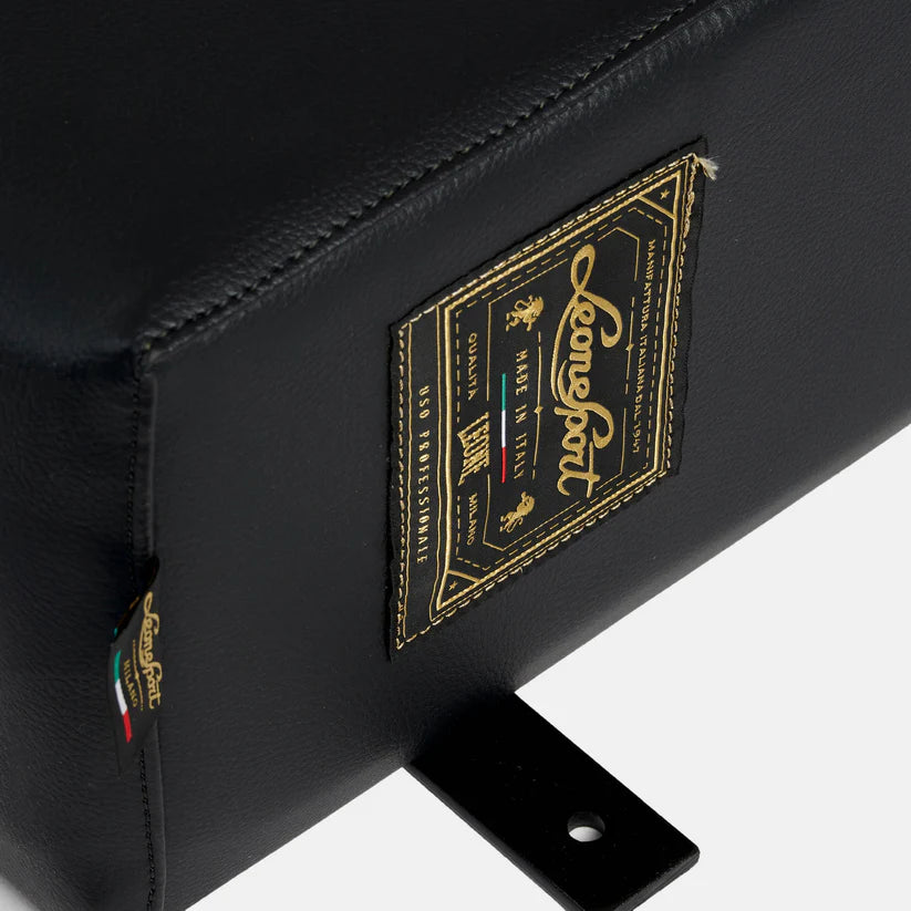 Sagoma da Muro Leone Atena Vintage