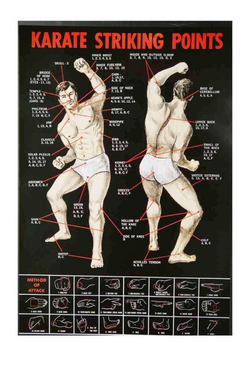 Poster Didattici Arti Marziali Judo e Karate Striking - Fight Club Store
