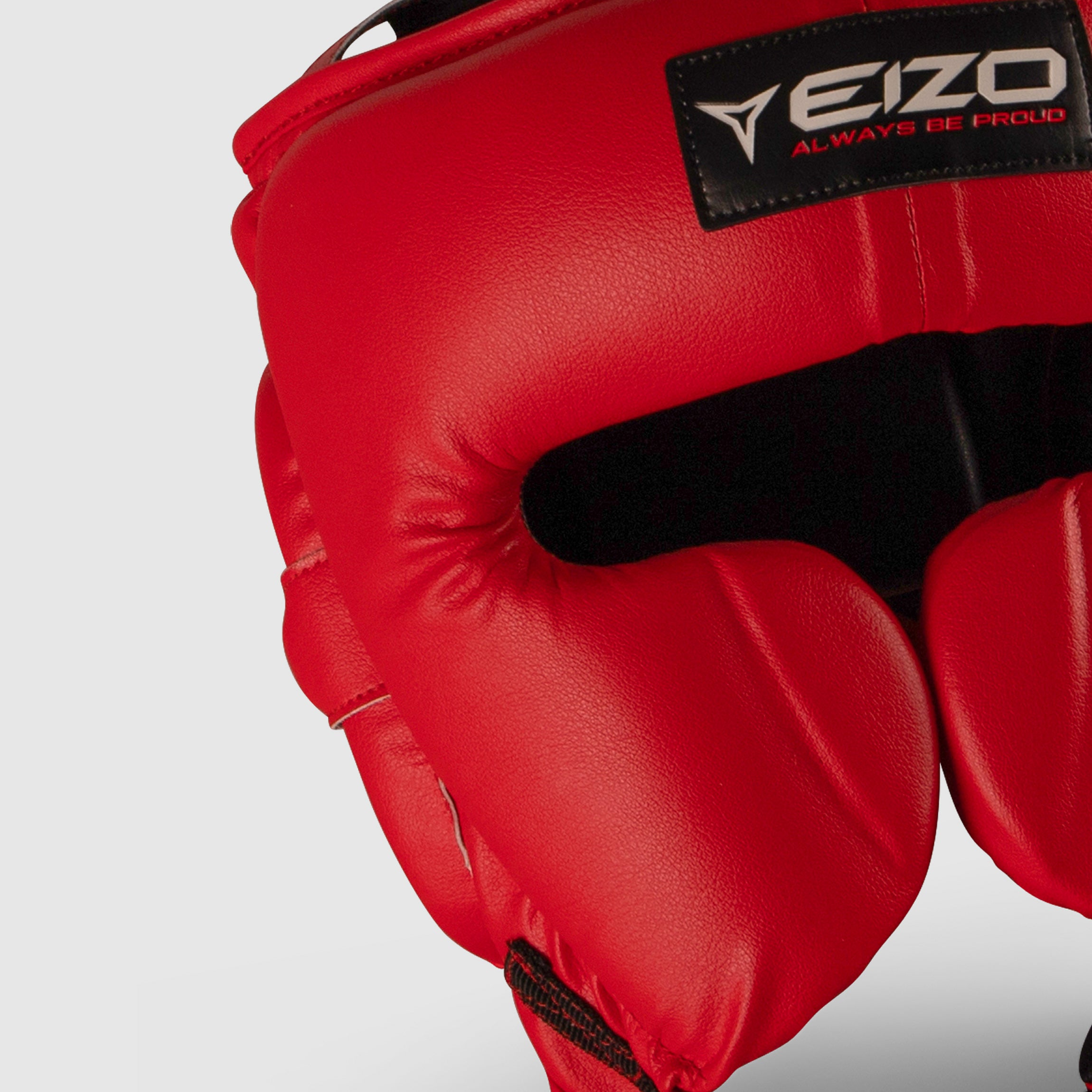 EIZO Training HELMET with cheek pads