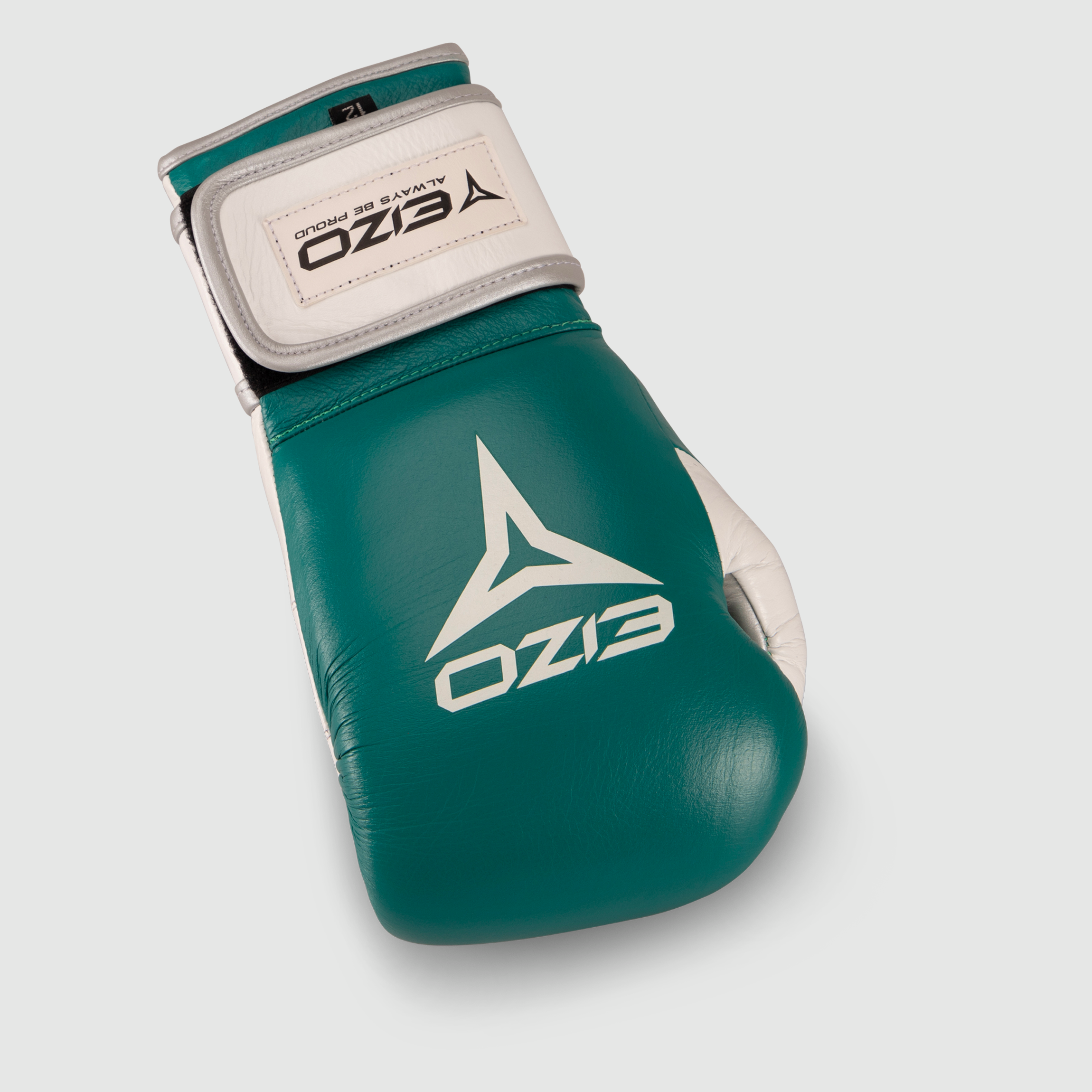 Eizo Compact 3.0 Gloves