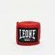 Lion Bands