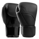 Coppia di guanti da boxe Hayabusa E1 in pelle nera Onyx, design ergonomico per principianti e intermedi