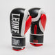 Guanti da Boxe Logo WACS Leone - vista frontale