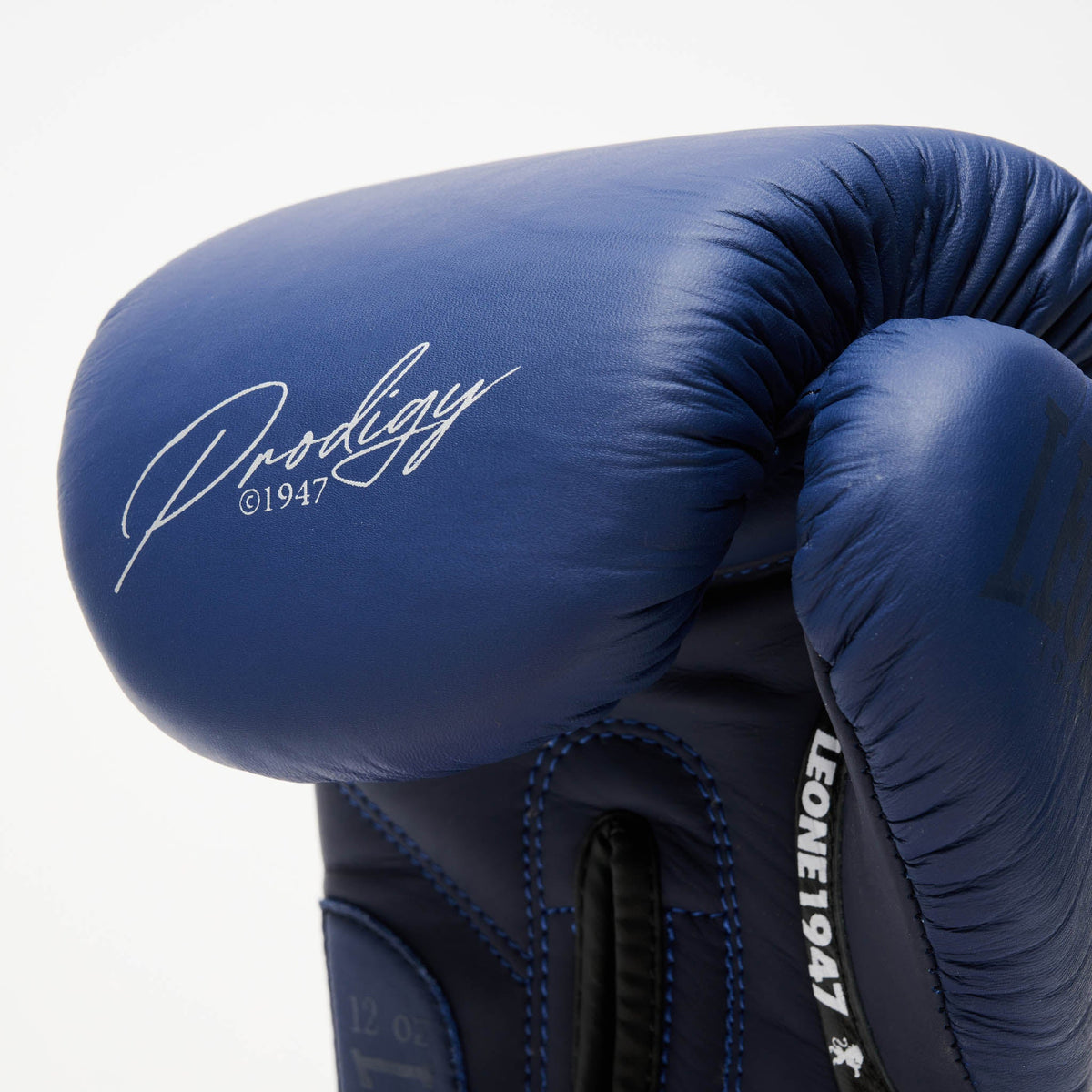 Prodigy Blue Boxing Gloves - detail view 3