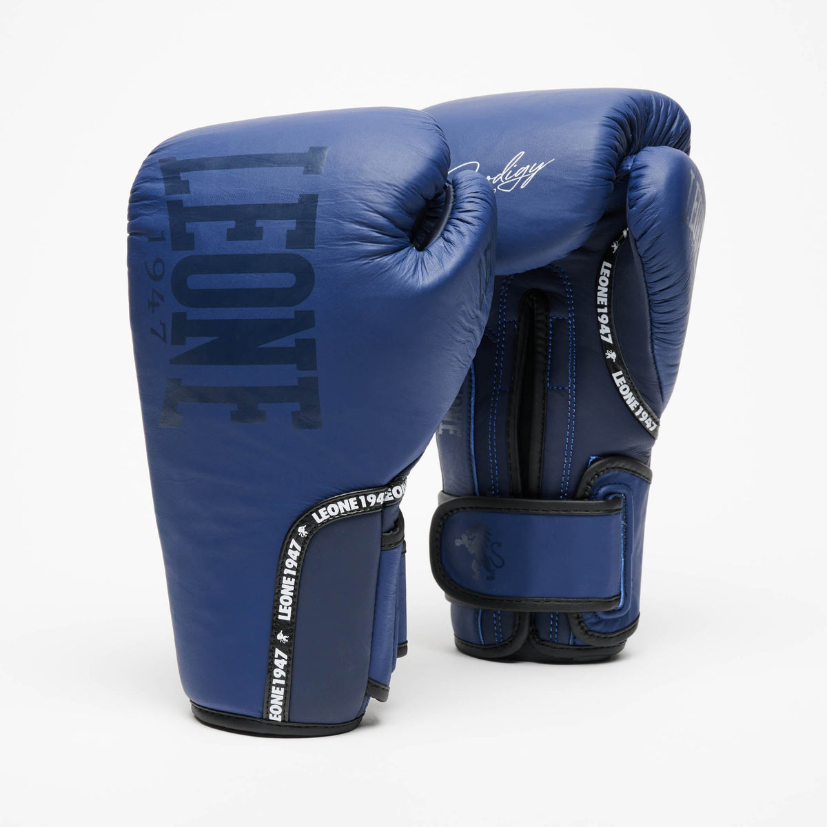 Prodigy Blue Boxing Gloves - front view