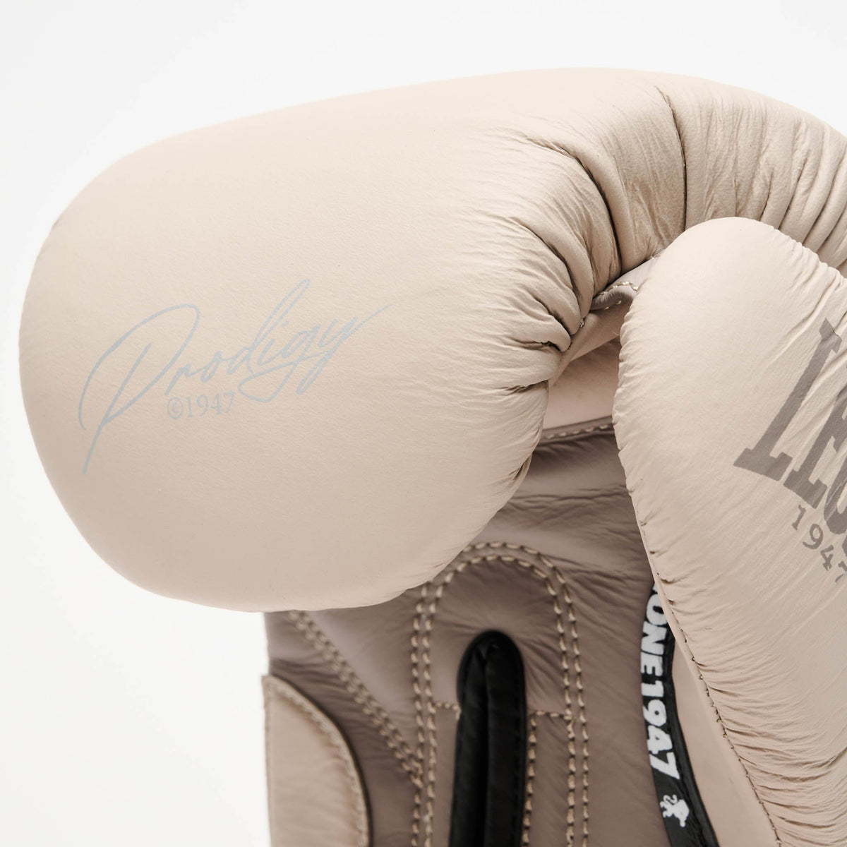 Prodigy Carta Boxing Gloves - detail view 3
