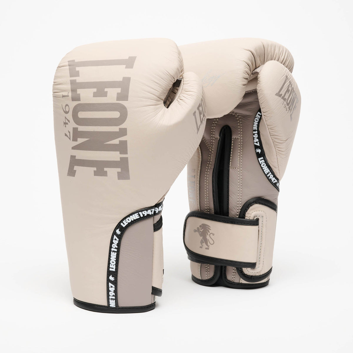 Prodigy Carta Boxing Gloves - front view