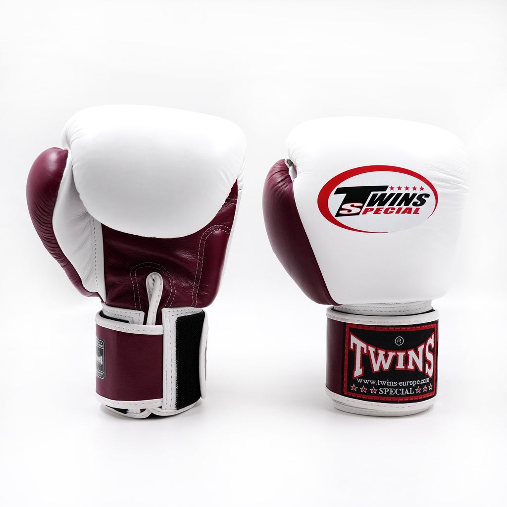 Boxhandschuhe Twins Bicolor