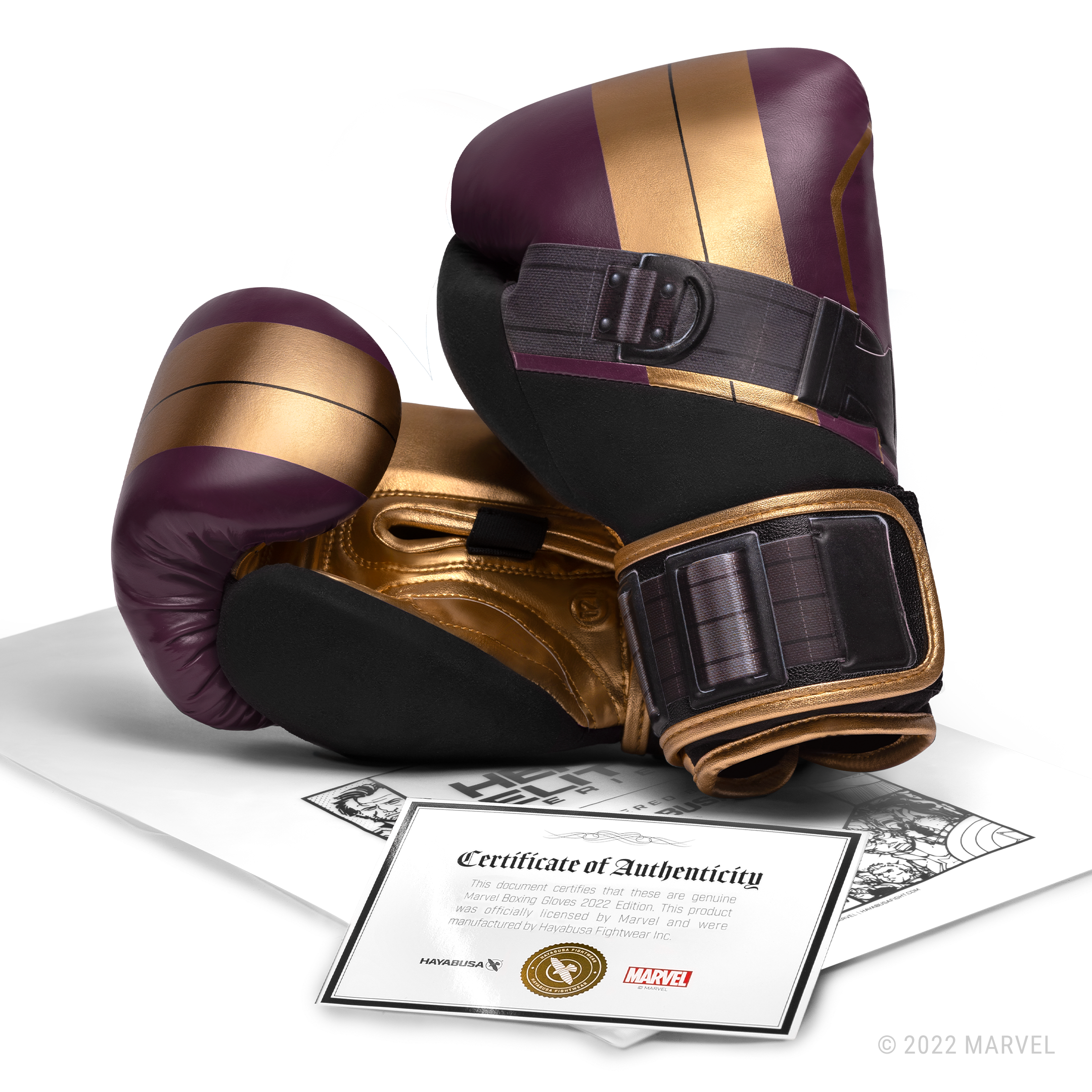 Certificato ufficiale di autenticità della collaborazione Hayabusa X Marvel per i guantoni Batroc