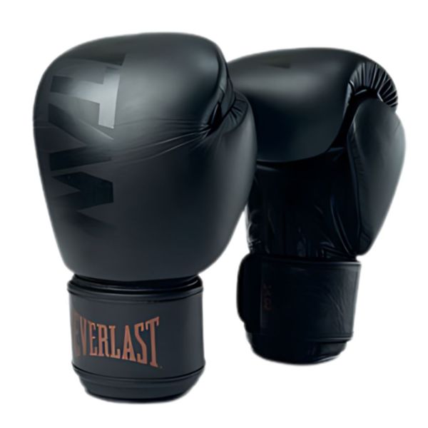 Everlast Titan Muay Thai Eldivenleri - önden görünüm
