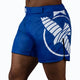 Pantaloncini Hayabusa Icon Mid-Thigh - Ideali per MMA e Grappling - Fight Club Store