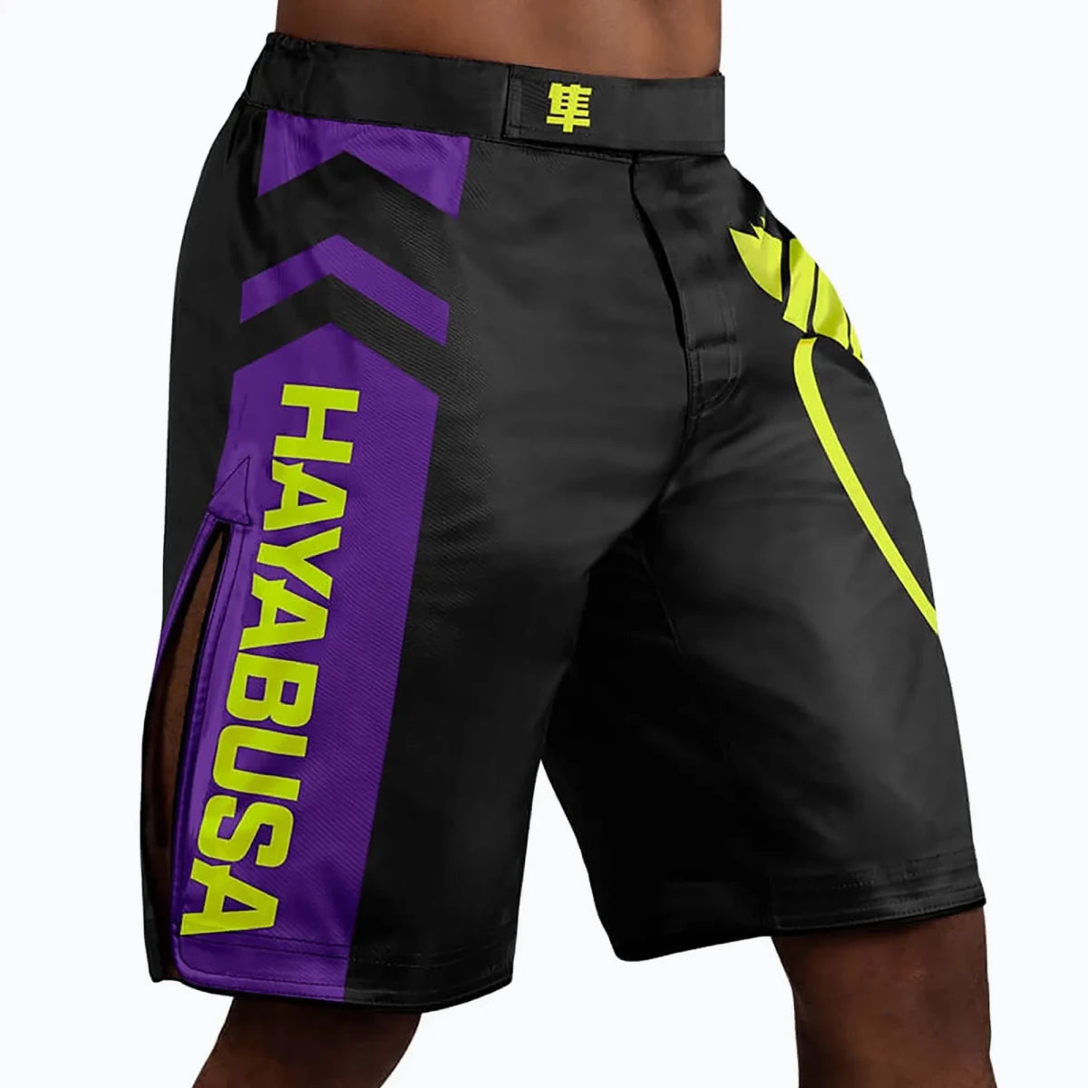 Bakre detalj fight shorts Hayabusa Icon färg svart.