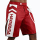 Fascia in vita con grip antiscivolo shorts Hayabusa Icon rossi.