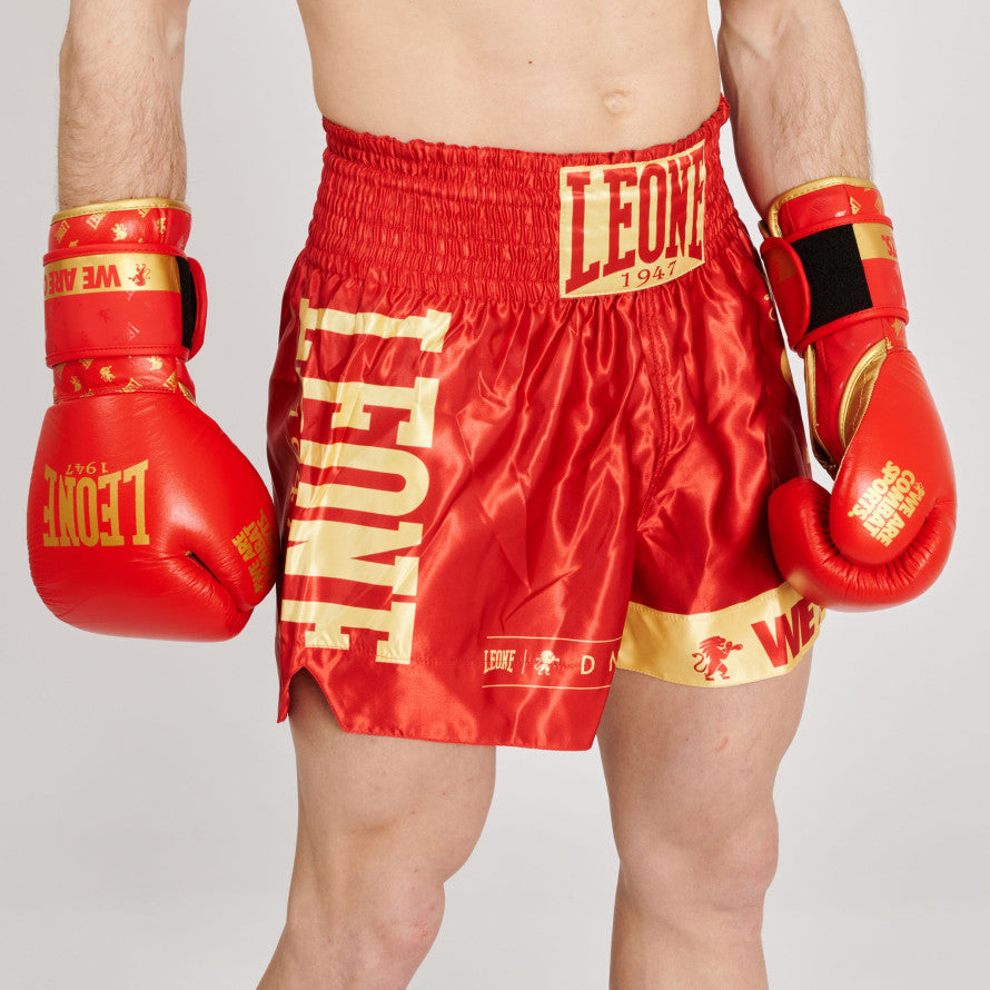 Muay Thai Pantaloni Box Boxe Leone Pantaloncini Da Pugilato