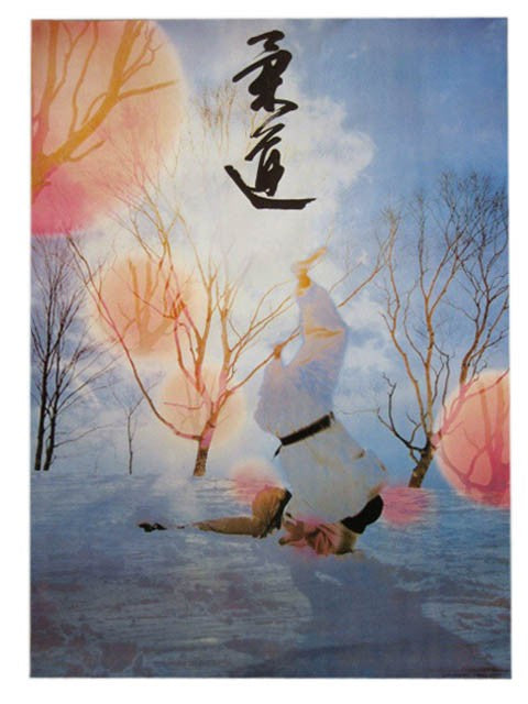 Affiches pédagogiques Arts Martiaux Judo et Karaté Striking