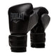 Everlast Powerlock 2R Training Gloves - front view