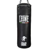 Sacco Leone 1947 da Allenamento Pro